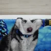Toalla De Playa Estampada Husky Siberiano Medida 140 x 70